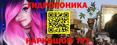 твердый Лесосибирск